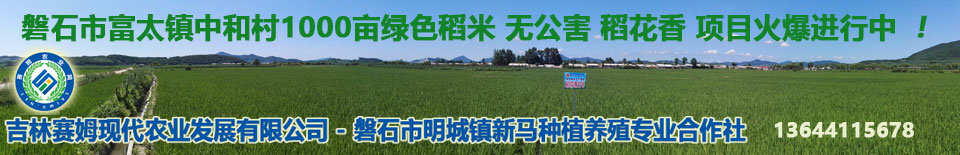 有机大米